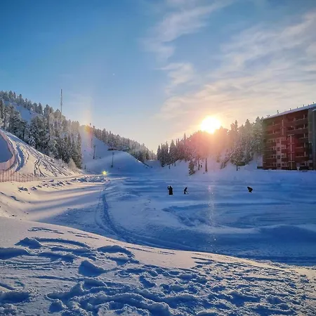 Rukahillchalet3 In - Out Ruka